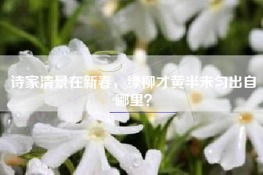 诗家清景在新春，绿柳才黄半未匀出自哪里？
