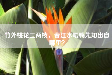 竹外桃花三两枝，春江水暖鸭先知出自哪里？