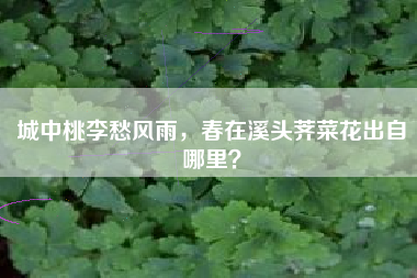 城中桃李愁风雨，春在溪头荠菜花出自哪里？